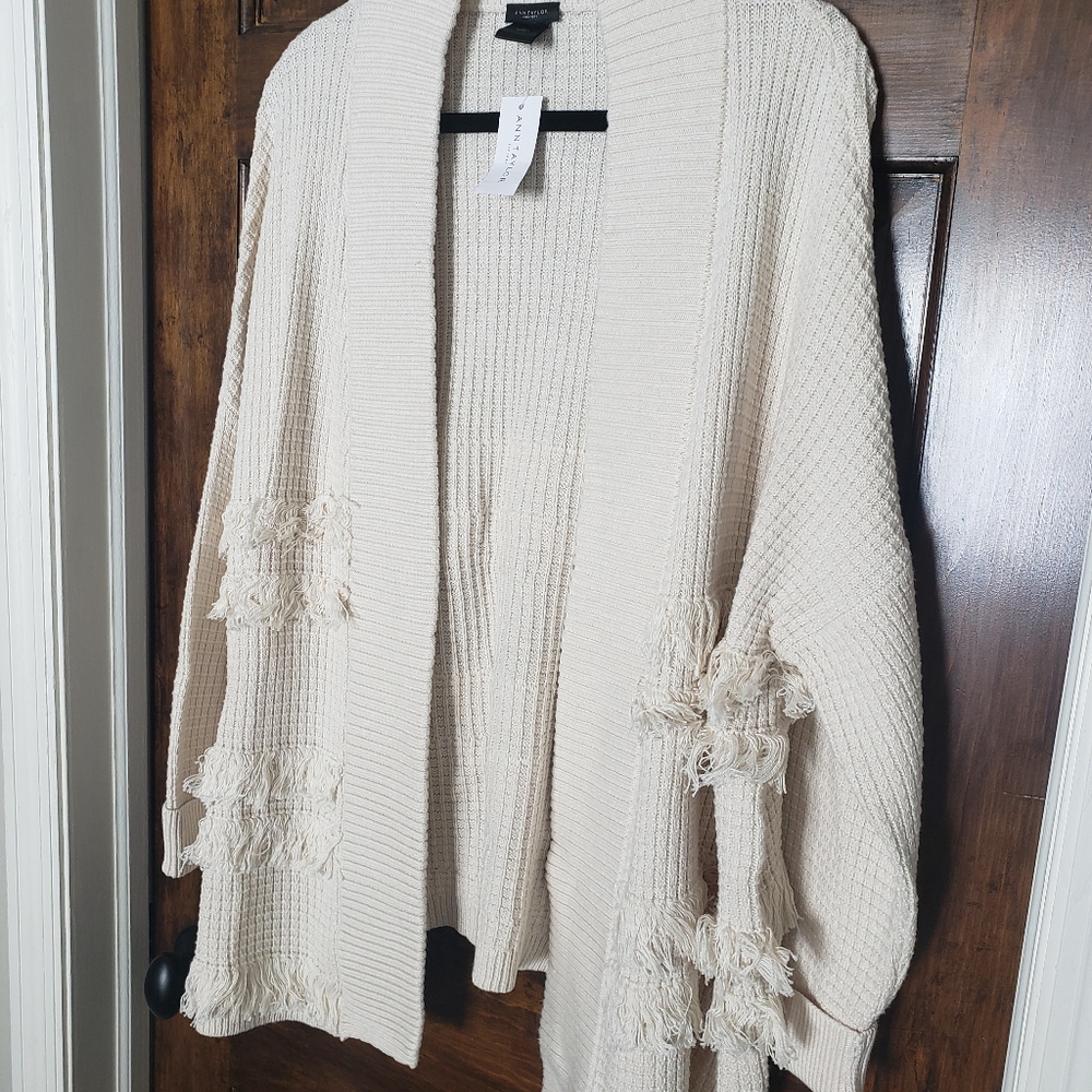 Ann Taylor Sweater